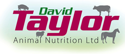 David Taylor Animal Nutrition Ireland